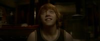 EdP-Potterish8268.jpg