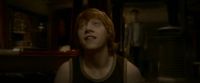 EdP-Potterish8275.jpg