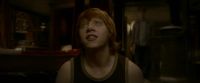 EdP-Potterish8277.jpg