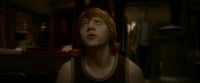 EdP-Potterish8278.jpg