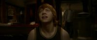 EdP-Potterish8279.jpg