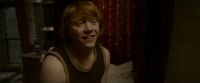 EdP-Potterish8332.jpg