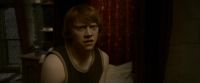 EdP-Potterish8342.jpg