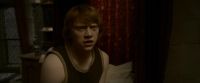 EdP-Potterish8344.jpg