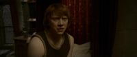 EdP-Potterish8353.jpg