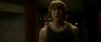 EdP-Potterish8369.jpg