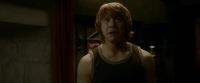 EdP-Potterish8370.jpg