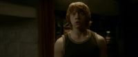 EdP-Potterish8376.jpg