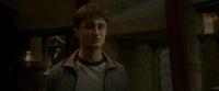 EdP-Potterish8384.jpg