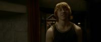 EdP-Potterish8388.jpg