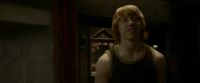EdP-Potterish8389.jpg
