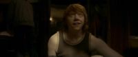 EdP-Potterish8398.jpg