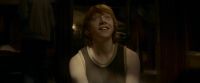 EdP-Potterish8401.jpg