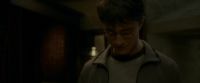 EdP-Potterish8409.jpg