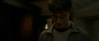 EdP-Potterish8410.jpg
