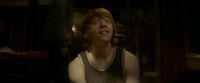 EdP-Potterish8411.jpg