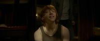 EdP-Potterish8413.jpg