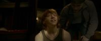 EdP-Potterish8415.jpg