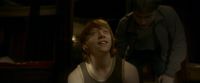 EdP-Potterish8416.jpg