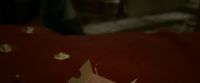 EdP-Potterish8428.jpg