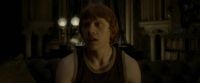 EdP-Potterish8554.jpg