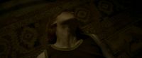 EdP-Potterish8609.jpg