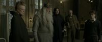EdP-Potterish8705.jpg