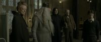 EdP-Potterish8706.jpg