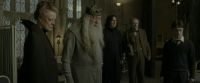 EdP-Potterish8711.jpg