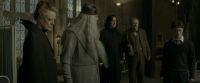EdP-Potterish8712.jpg