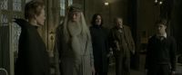 EdP-Potterish8724.jpg