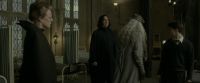 EdP-Potterish8736.jpg