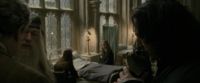EdP-Potterish8761.jpg