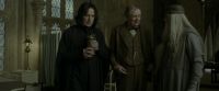 EdP-Potterish8763.jpg