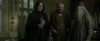 EdP-Potterish8764.jpg