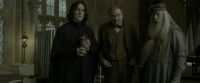 EdP-Potterish8768.jpg