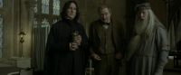 EdP-Potterish8769.jpg