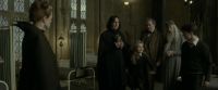EdP-Potterish8777.jpg