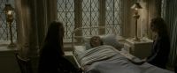 EdP-Potterish8783.jpg