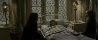 EdP-Potterish8785.jpg