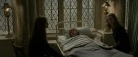 EdP-Potterish8789.jpg