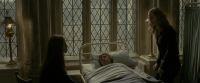 EdP-Potterish8790.jpg