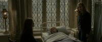 EdP-Potterish8791.jpg