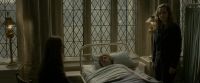 EdP-Potterish8793.jpg