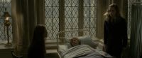 EdP-Potterish8799.jpg