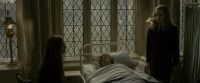 EdP-Potterish8800.jpg