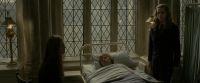 EdP-Potterish8801.jpg