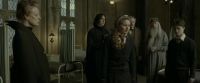 EdP-Potterish8804.jpg