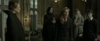 EdP-Potterish8807.jpg