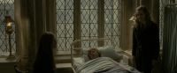 EdP-Potterish8817.jpg
